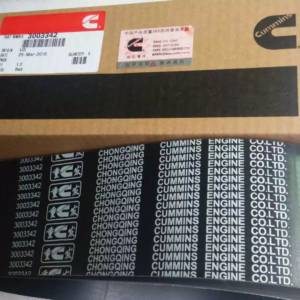 Cummins Fan belt